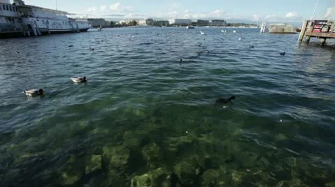 Geneva - Lake Stock Footage 12366810