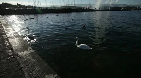Geneva - Lake Stock Footage 12367141