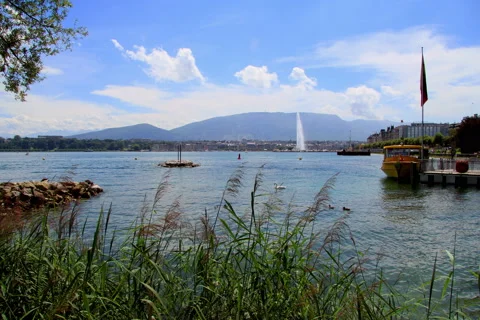 Geneva waterfountain Stock Footage 41000201