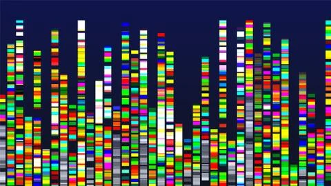 Genome Design Multicolor Data Visualization Vector Stock Illustration
