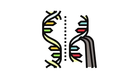 Genome editing genetic engineering color icon animation Stock Footage 326108567