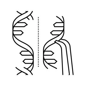 Genome editing genetic engineering line icon vector illustration Stock Illustration