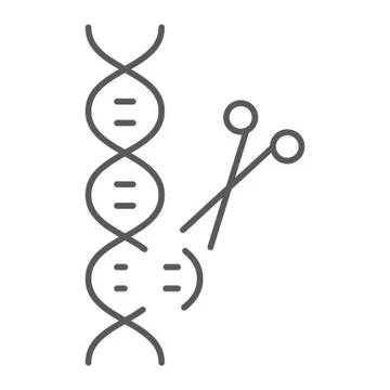 Genome editing thin line icon, technology and dna, dna editing sign, vector イラスト素材