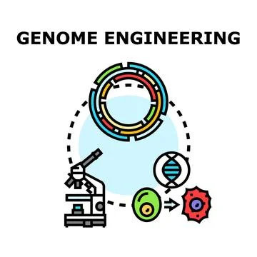 Genome engineering and genetic modification concept Stock Illustration