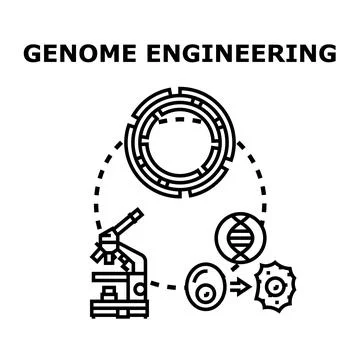 Genome engineering and genetic modification concept Stock Illustration