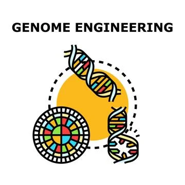 Genome engineering concept with dna helix editing Stock Illustration