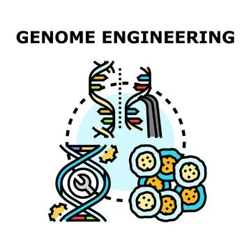 Genome engineering editing modifying cells for scientific research イラスト素材