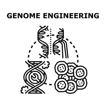 Genome engineering editing modifying cells for scientific research Stockillustratie