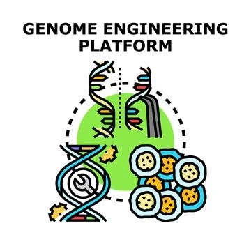 Genome engineering platform creating new dna structure Stock Illustration