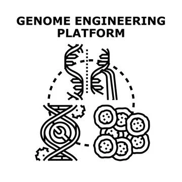 Genome engineering platform creating new dna structure Stock Illustration