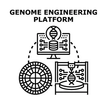 Genome engineering platform for genetic research イラスト素材