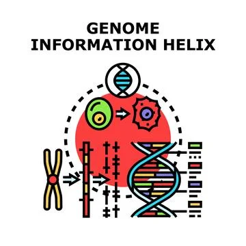 Genome information helix, dna encoding genetic data Stock Illustration