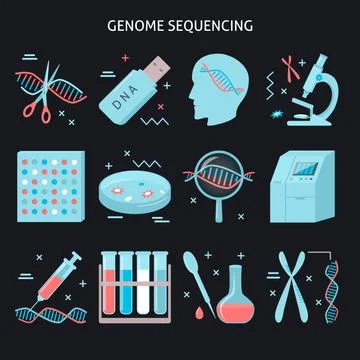 Genome research icon set in flat style Stock Illustration