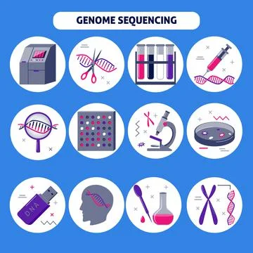 Genome research icon set in flat style Stock Illustration