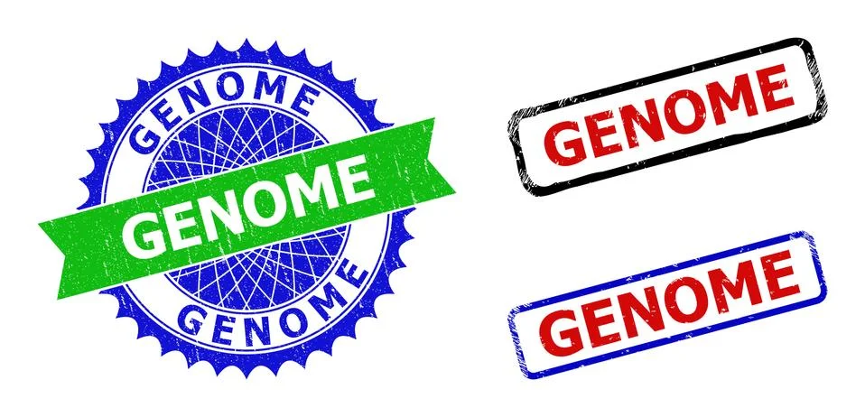 GENOME Rosette and Rectangle Bicolor Stamp Seals with Unclean Styles Stock Illustration