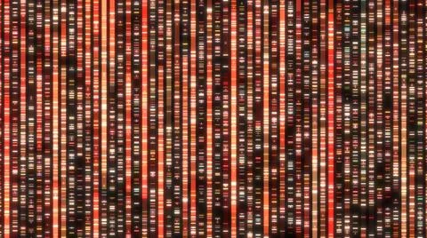 Genome sequencing to determine the nucleotide sequence of DNA  Stock Illustration