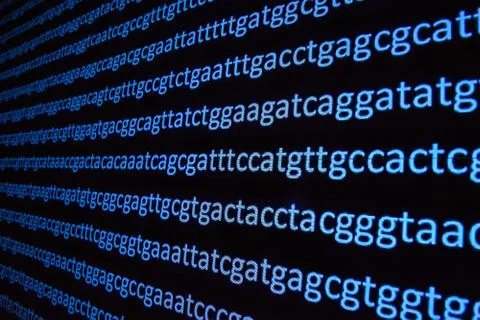 Genome sequencing. Stock Photos