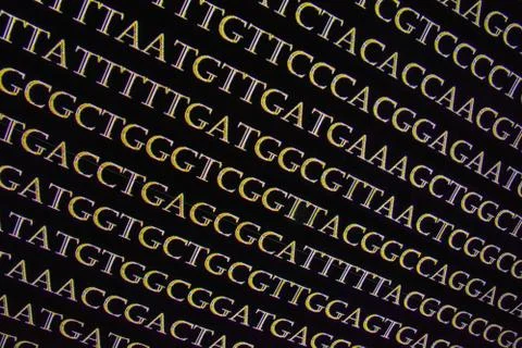 Genome sequencing. Stock Photos