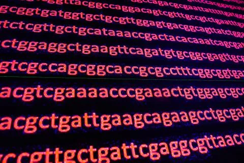 Genome sequencing. Stock Photos