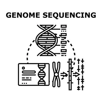 Genome sequencing process analysis for disease research Stock Illustration