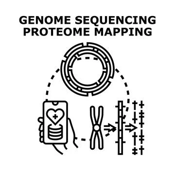Genome sequencing proteome mapping genetic research Stock Illustration
