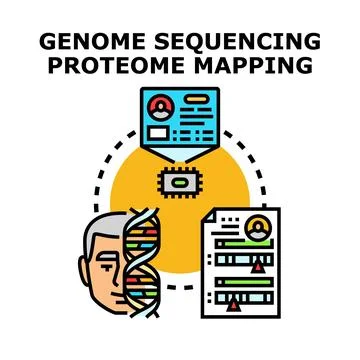 Genome sequencing proteome mapping process diagram Stock Illustration