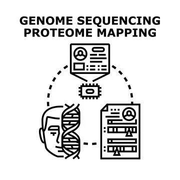Genome sequencing proteome mapping process diagram Stock Illustration