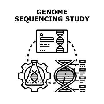 Genome sequencing study analyzing human dna structure Stock Illustration