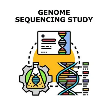 Genome sequencing study analyzing human dna structure Stock Illustration