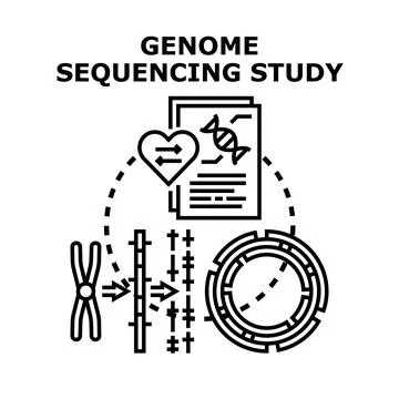 Genome sequencing study analyzing human dna for health research Stock Illustration