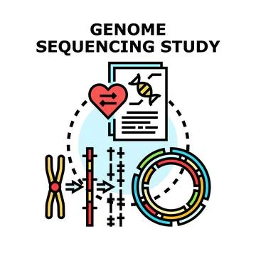 Genome sequencing study analyzing human dna for health research Stock Illustration