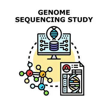Genome sequencing study concept vector icon 库存插图