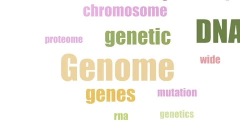 Genome Word Cloud Animated On White Background Stock Footage 103656147