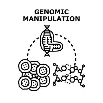 Genomic manipulation process controlling dna and cells Stock Illustration