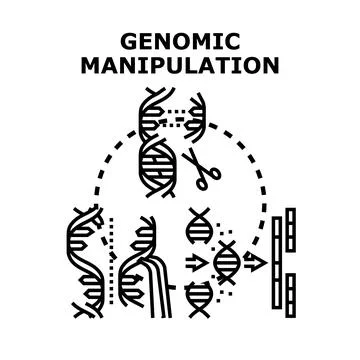 Genomic manipulation process demonstrating gene editing and dna modification Stock Illustration