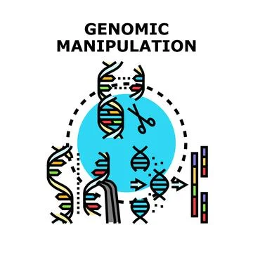 Genomic manipulation process demonstrating gene editing and dna modification Stock Illustration