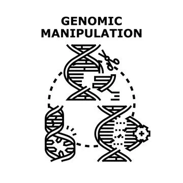 Genomic manipulation process with dna editing concept Stock Illustration