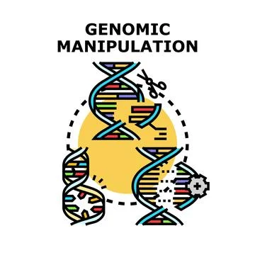 Genomic manipulation process with dna editing concept Stock Illustration