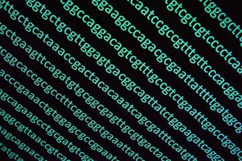Genomic sequencing. Stock Photos