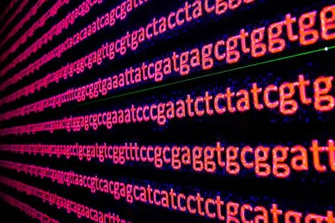 Genomic sequencing. Stock Photos