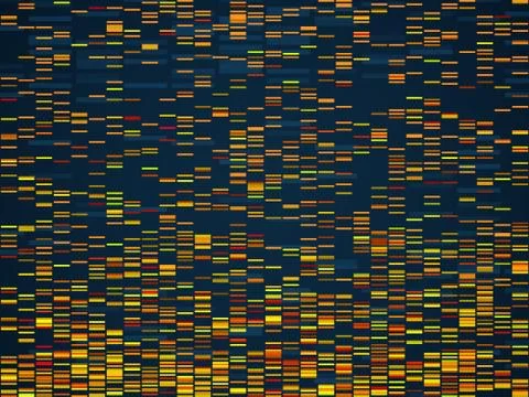 Genomic visualization. Dna genomes sequencing data analysis. Digital internet Stock Illustration