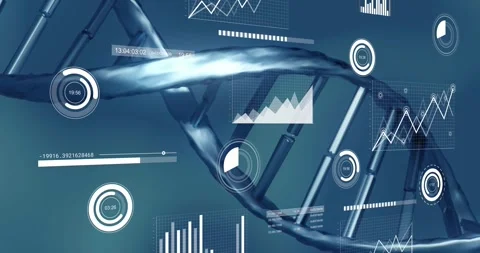 Genomics dashboard receiving live data, animating HUD elements around DNA helix Stock Footage 333904479