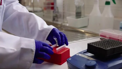 Genomics Lab -  Arranging small test tubes Stock Footage 272154658