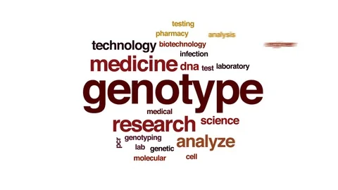 Genotype animated word cloud, text design animation. Stock Footage