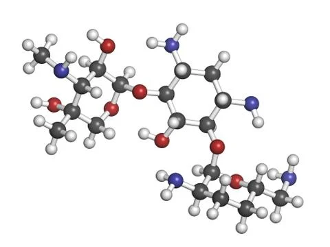 Gentamicin antibiotic drug (aminoglycoside class), chemical structure. Stock Illustration