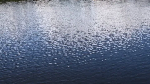 Gentel river with reflections of clouds Stock Footage 108519563
