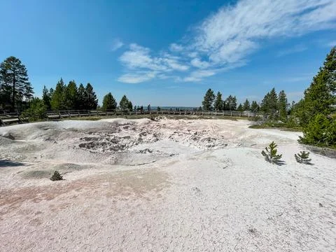Gentian Pool Stock Photos