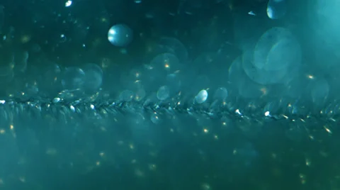 Gentle abstract sparkle background Stock Footage 36033293