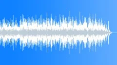 Gentle Acoustic Mood Stock Music