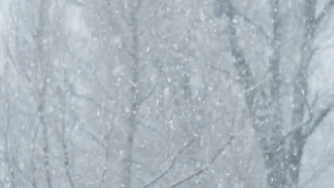 Gentle and soft snowfall gracefully descends upon a serene winter landscape Stock Footage 317038900